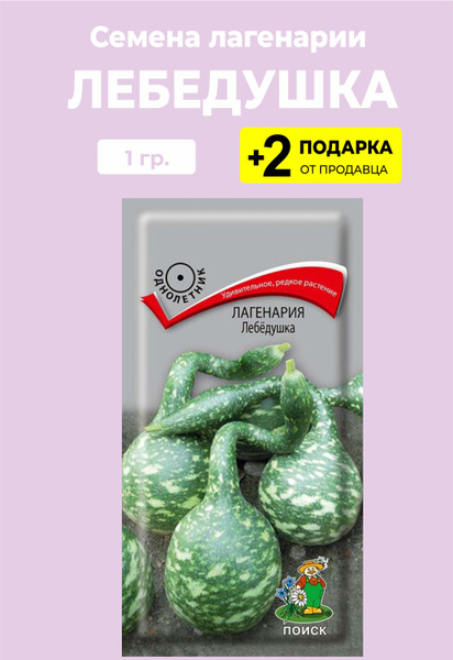 Лагенария, Декоративные овощи For Home And Family Лебедушка_белый ...