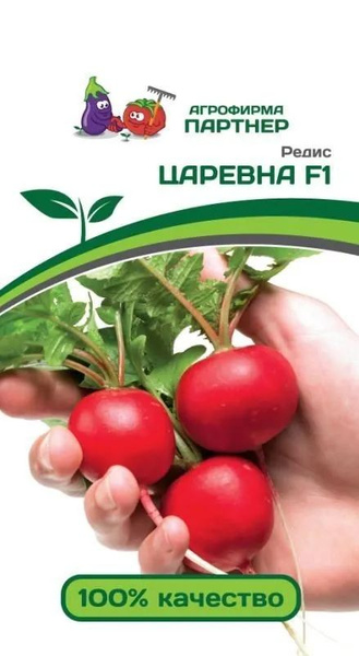 Редис Агрофирма Партнер семена партнер, семена агрофирмы Партнер ...