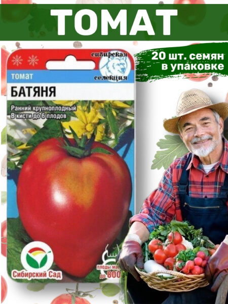 Семена Помидор Батяня Купить