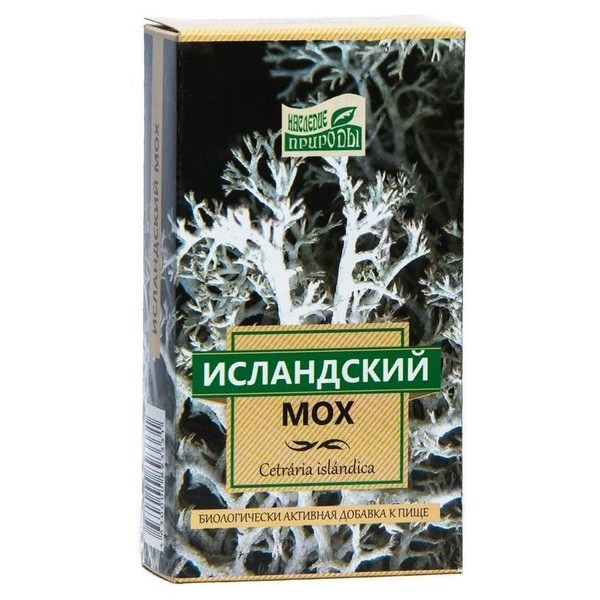 Исландский мох Озон