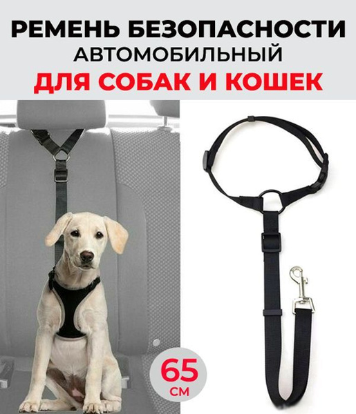 Ремень безопасности в машину для собак, кошек / поводок для животных в ...