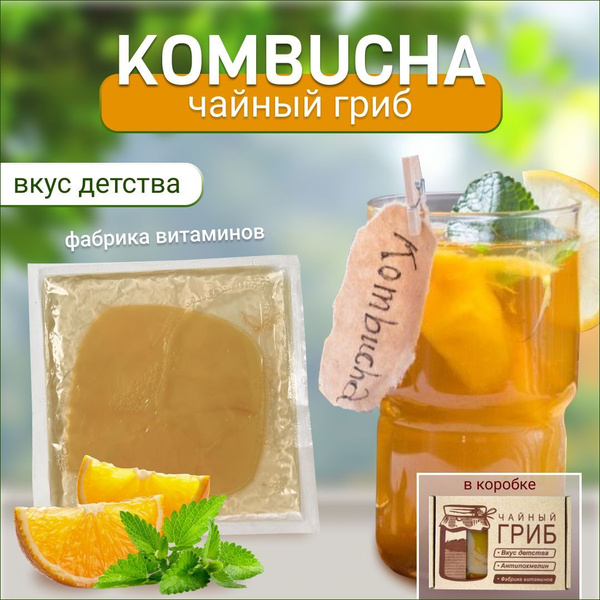 КОМБУЧА Чайный гриб + ИНСТРУКЦИЯ указана на коробке - купить с ...