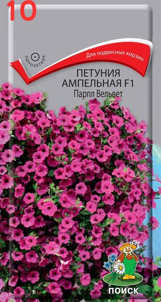 Петуния Ампельная F1 Парпл Вельвет_10 - купить по выгодным ценам в ...