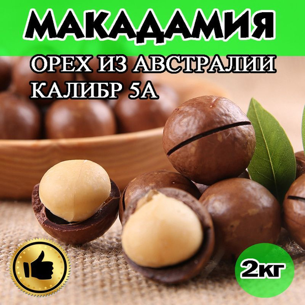 Макадамия, Макадамия Орех, калибр 5А 2кг в скорлупе с ключом - купить с ...