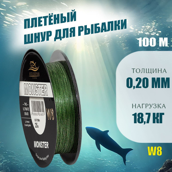 Плетеный шнур для рыбалки ASIANFISH, 0.2 мм, 100 м купить по выгодной ...