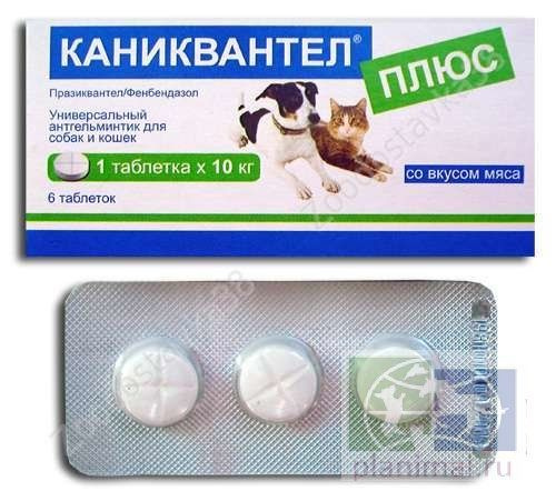 Таблетки Каниквантел Плюс 3 таблетки без упаковки - купить с доставкой ...