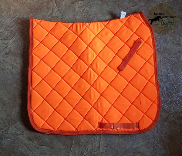 Вальтрап выездка Лидер - купить с доставкой по выгодным ценам в ...