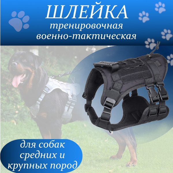 Шлейка для собак средних и крупных пород - купить с доставкой по ...
