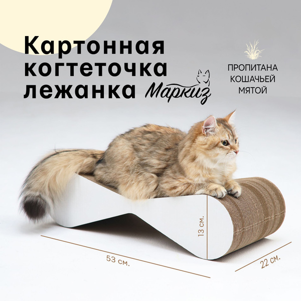 Когтеточка картонная для кошек - купить с доставкой по выгодным ценам в ...