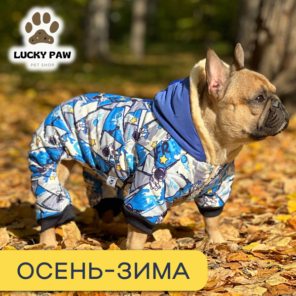 Комбинезон для собаки теплый (зимний костюм) синий - купить с доставкой ...