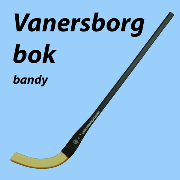 Хоккейная клюшка Vanersborg 2000000205380, Прямой загиб хват, 130 см ...