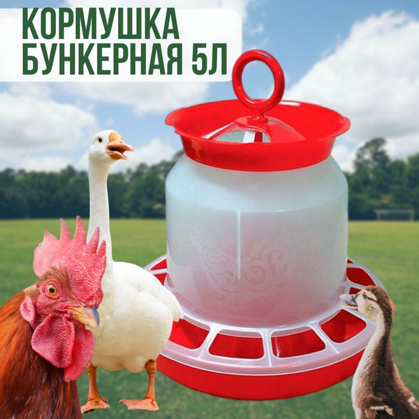Кормушка бункерная универсальная 5 л для кур, гусей, бункерная купить ...