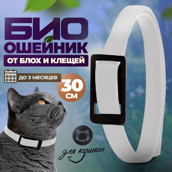 Ошейник для кошек от блох и клещей - купить с доставкой по выгодным ...