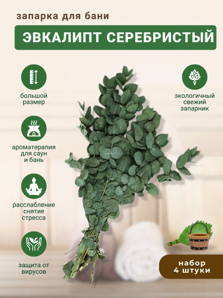 Запарка для бани Эвкалипт Серебристый, трава-запарник, сухоцвет, 4 шт ...