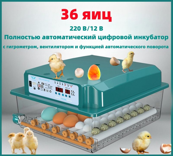 Полностью автоматический инкубатор на 36 яиц, двойное питание 220 В/12 ...