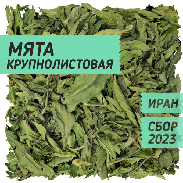 Мята сушеная ментоловая трава натуральная 200 гр. / Для чая, для ...