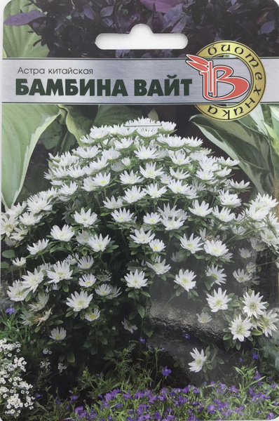 Биотехника Астра китайская Бамбина Вайт - купить по выгодным ценам в ...