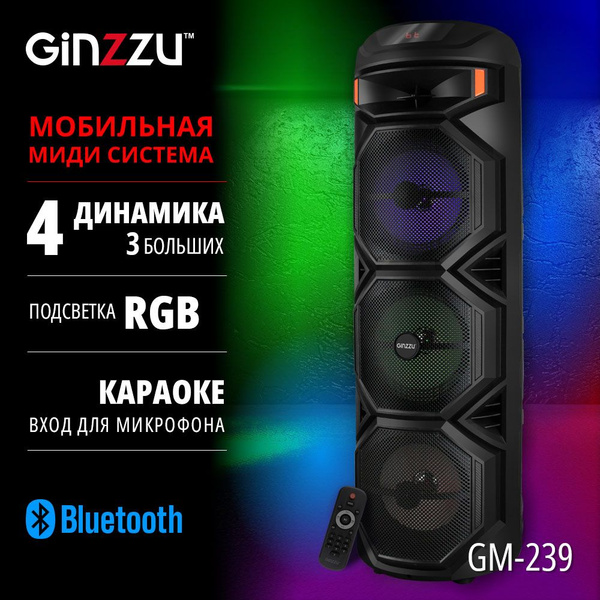 Беспроводная акустика Ginzzu GM-239, черно-серый - купить по низким ...