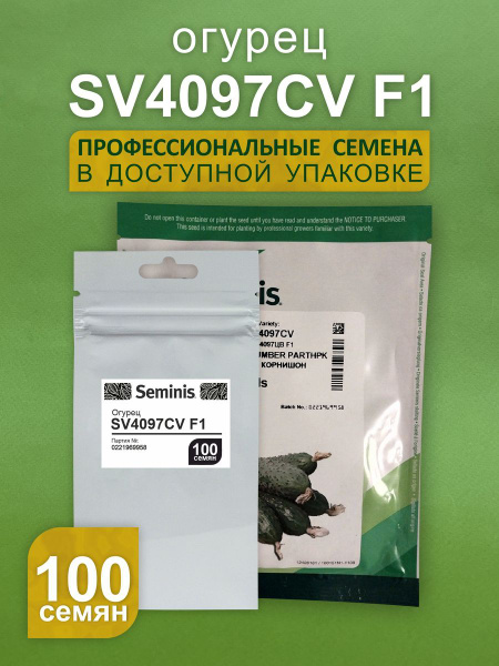Огурцы Seminis Огурец СВ 4097 ЦВ - купить по выгодным ценам в интернет ...