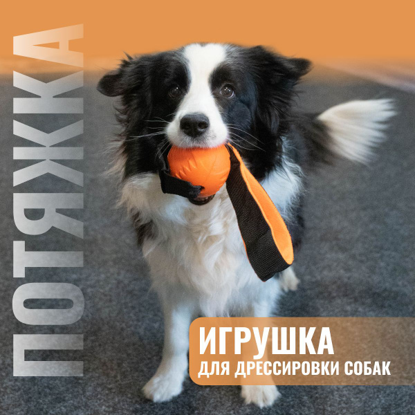 Игрушка для дрессировки собак - стропа-резинка с мячом d 8,5 см ...