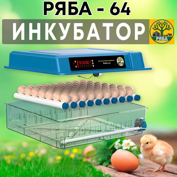 Инкубатор для яиц автоматический Ряба-64 с терморегулятором ...