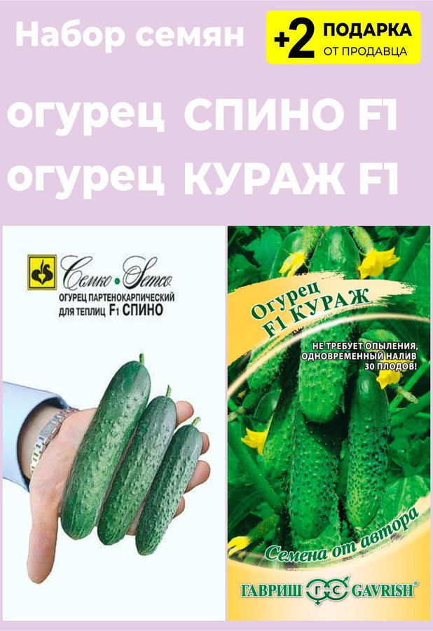 Огурец спино отзывы