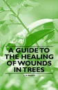 A Guide to the Healing of Wounds in Trees - L. H. Bailey