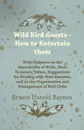 Wild Bird Guests - How to Entertain them - With Chapters on the Destruction of Birds, their Economic Values, Suggestions for Dealing with their Enemies, and on the Organization and Management of Bird Clubs - Ernest Harold Baynes