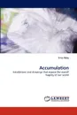 Accumulation - Erica Raby