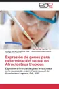 Expresion de genes para determinacion sexual en Atractosteus tropicus - Castellanos Vidal Cynthia María, Valenzuela P. Yamile Mavel, Lesher G. Julia María