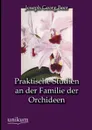 Praktische Studien an der Familie der Orchideen - Joseph Georg Beer