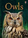 Owls - Emily Bone