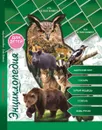 Кто в лесу живет? Энциклопедия для детей - Людмила Соколова