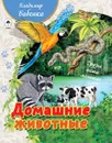 Домашние животные. Энциклопедия в рассказах для детей - Бабенко Владимир