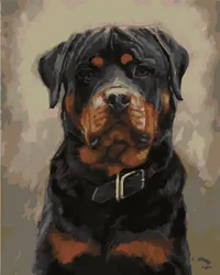 Картина по номерам - это набор для создания готового произведения искусства. На холст нанесены контуры будущего  ...