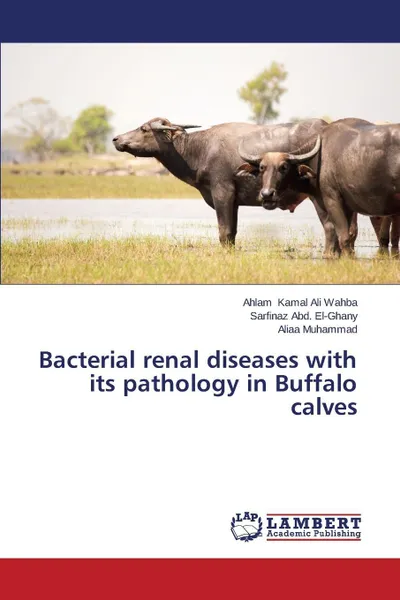 Обложка книги Bacterial renal diseases with its pathology in Buffalo calves, Kamal Ali Wahba Ahlam, Abd. El-Ghany Sarfinaz, Muhammad Aliaa