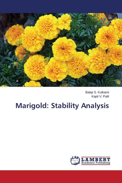 Обложка книги Marigold. Stability Analysis, Kulkarni Balaji S., Patil Kapil V.