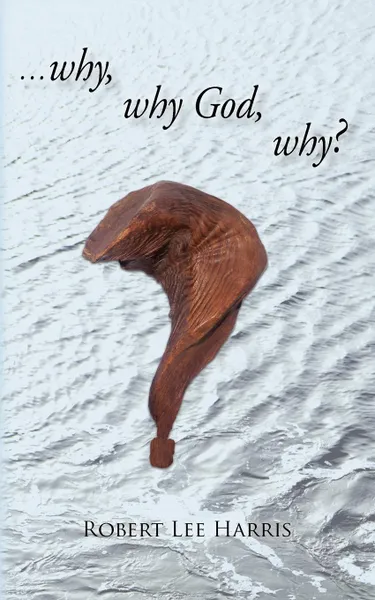 Обложка книги Why, Why God, Why?, Robert Lee Harris