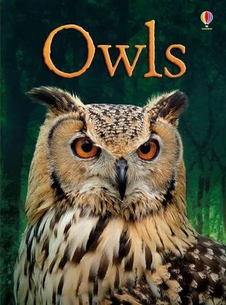 Обложка книги Owls, Emily Bone