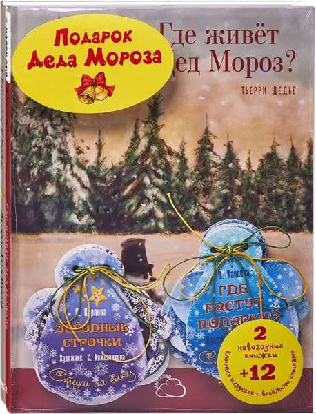 Обложка книги ПОДАРОК ДЕДА МОРОЗА. 2 новогодние книжки и 12 ёлочных игрушек с весёлыми стихами., Карпова Н.В., Кальдирак А., Дедье Т.