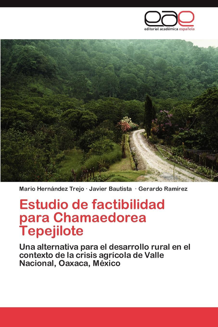 фото Estudio de factibilidad para Chamaedorea Tepejilote