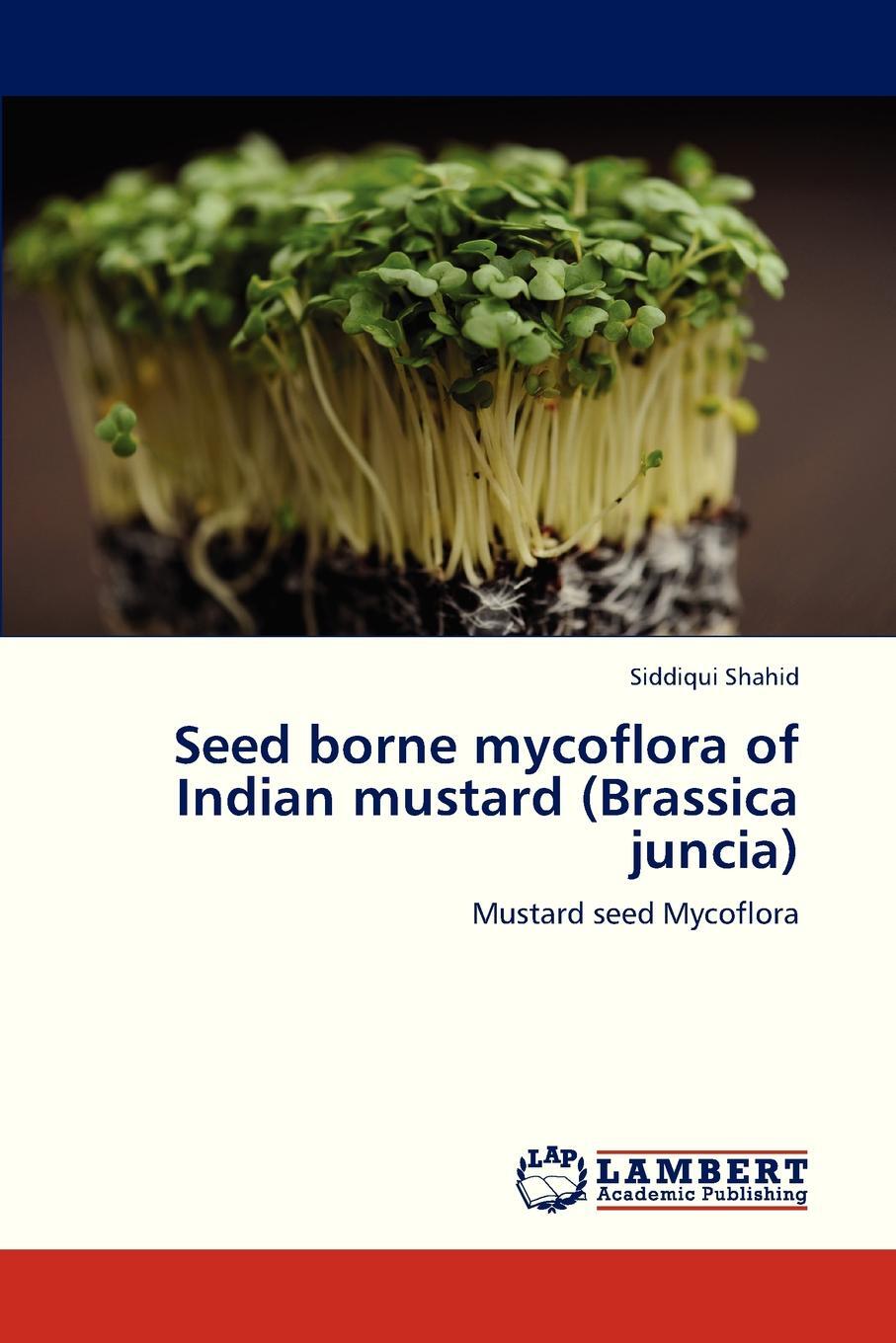 фото Seed Borne Mycoflora of Indian Mustard (Brassica Juncia)