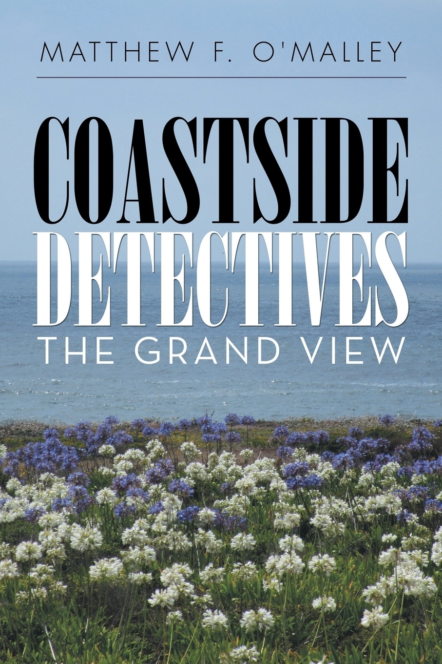 фото Coastside Detectives. The Grand View