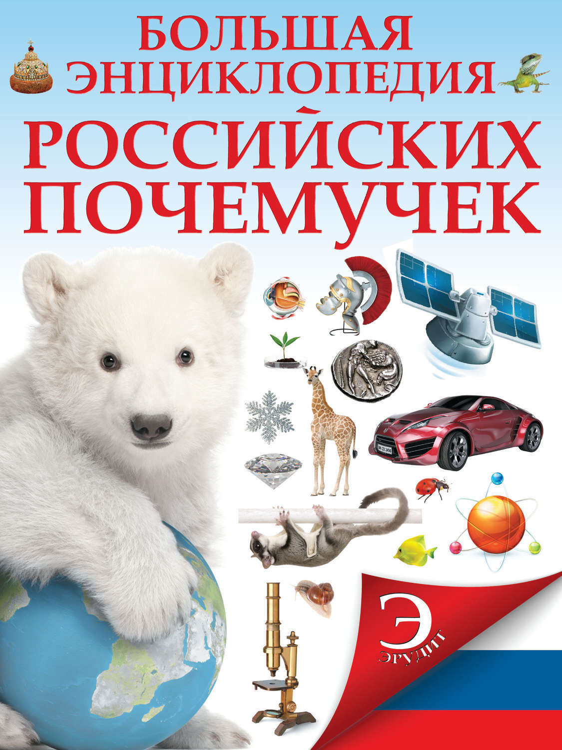 Купить Большую Детскую Энциклопедию В Интернет Магазине