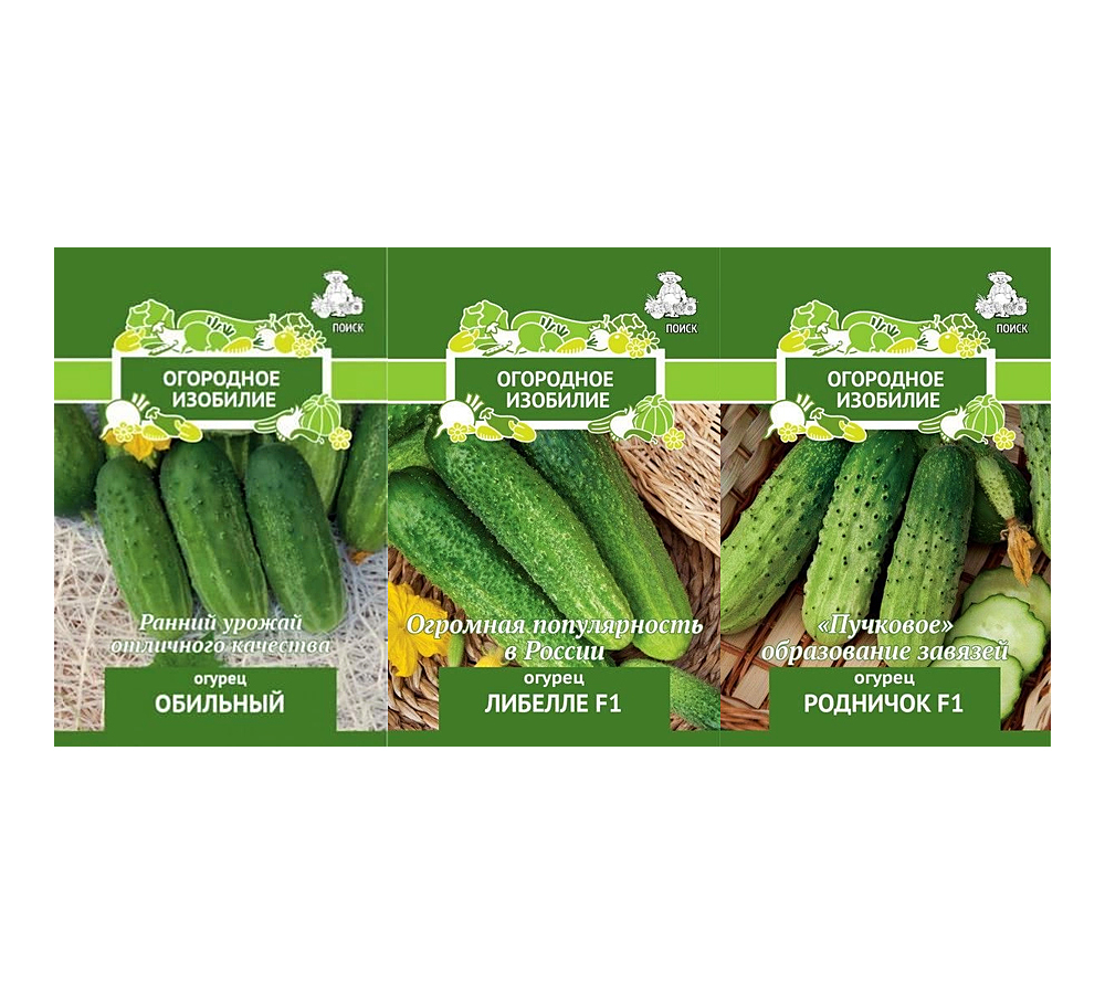 Огурец моринга. Огурец мэлс f1 корнишон 5шт семена премиум уральский дачник,. Огурцы изобилия. Семена огурцов зозуля. Огурец вертикальный.