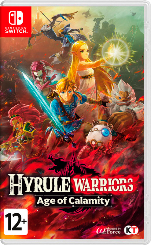 Hyrule warriors hot sale for switch