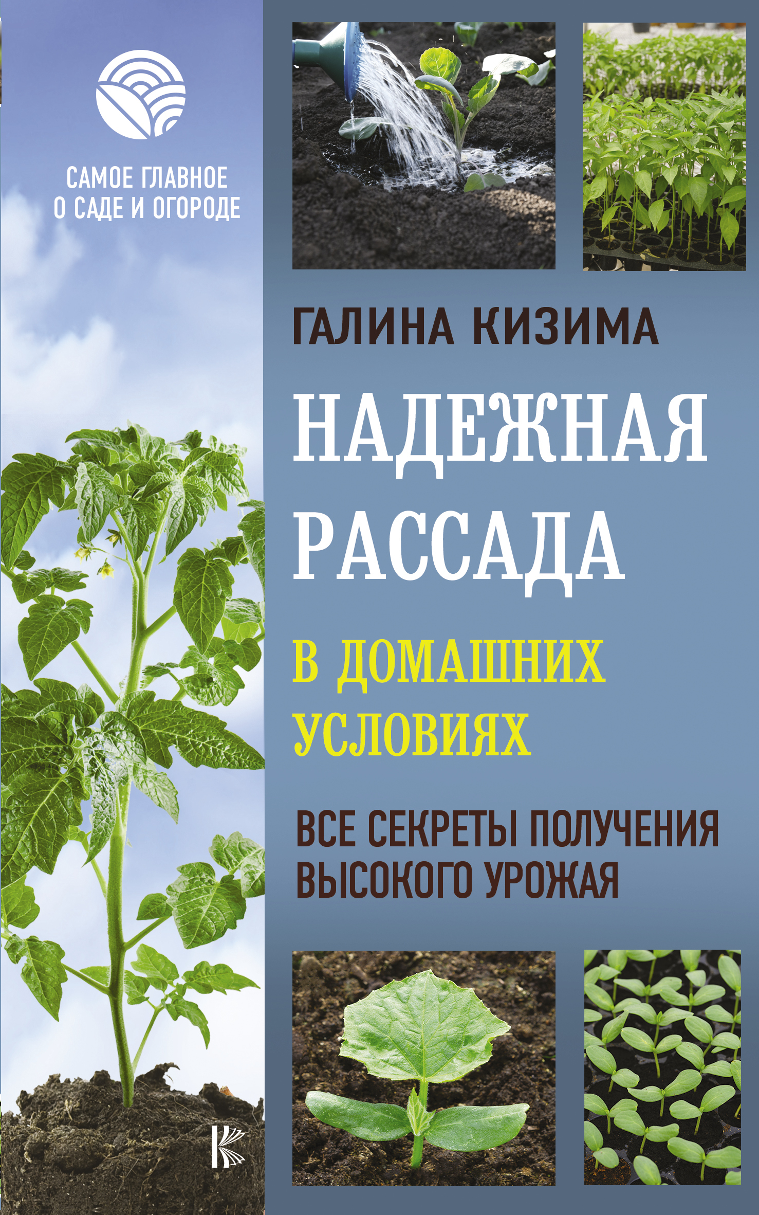 Галина Кизима Книги Купить