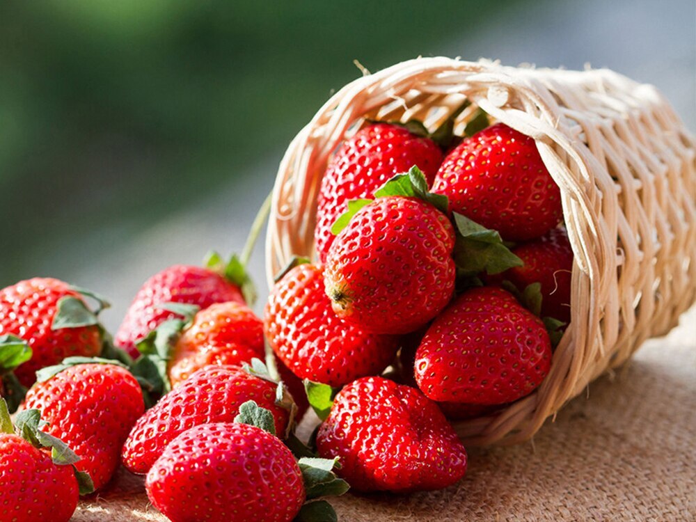 Strawberry Com Интернет Магазин