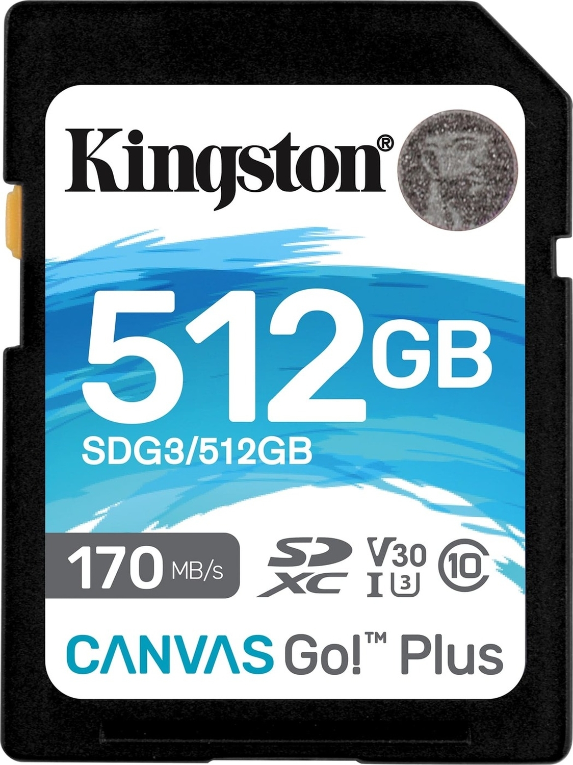 KingstonКартапамятиCanvasGO512ГБ(SDG3/512GB)