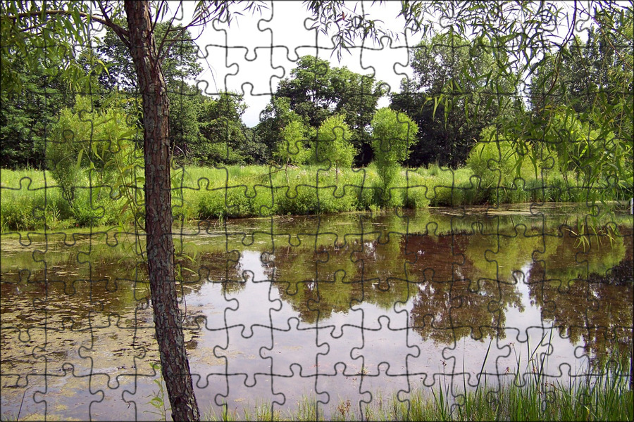 Стоячий водоем. Пейзаж с прудом. Открытый водоем. Пруды в см. Картинка на огэ деревья и пруд.